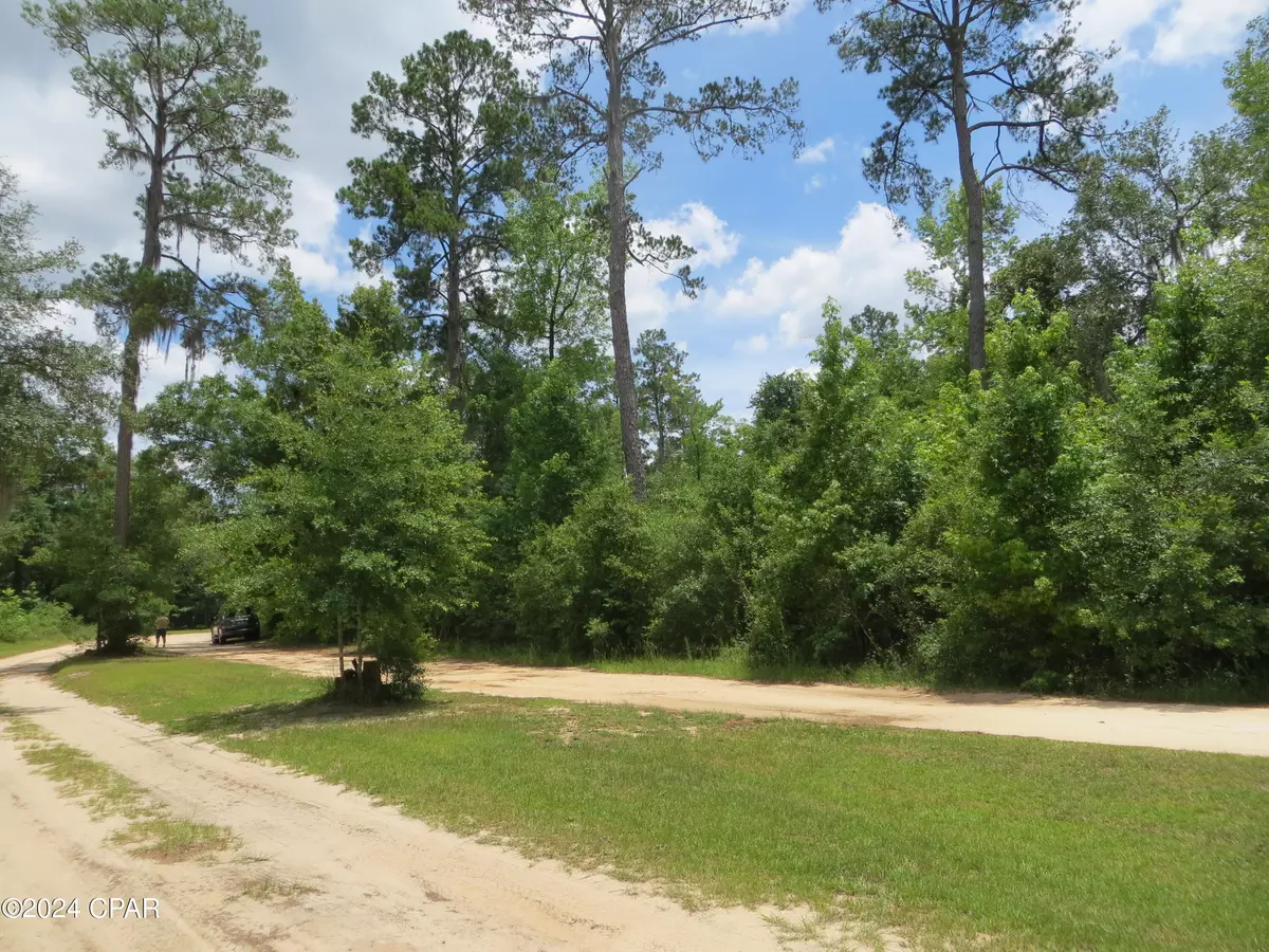 Chipley, FL 32428,0000 Paradise Lakes RD