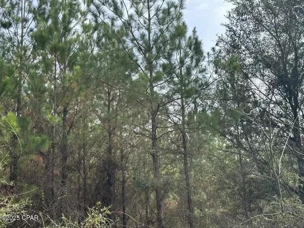 Bonifay, FL 32425,Tract#6301 West Love #80