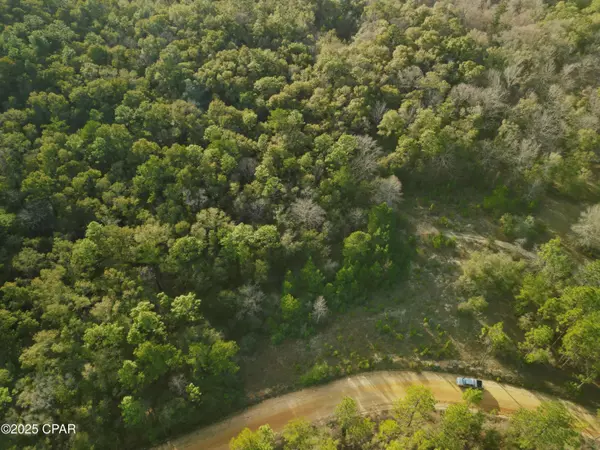 Vernon, FL 32462,000 Creek Run RD