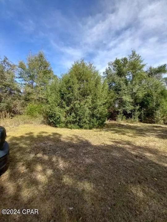 Altha, FL 32421,00 Tommy Tucker RD #Lot 5