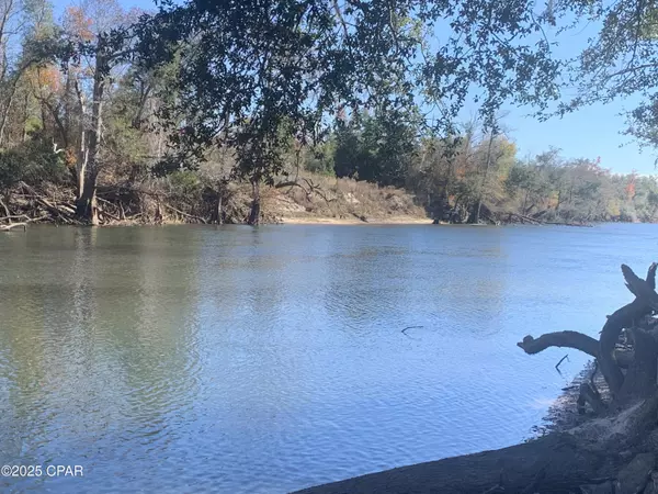 000 Missy LN, Clarksville, FL 32430