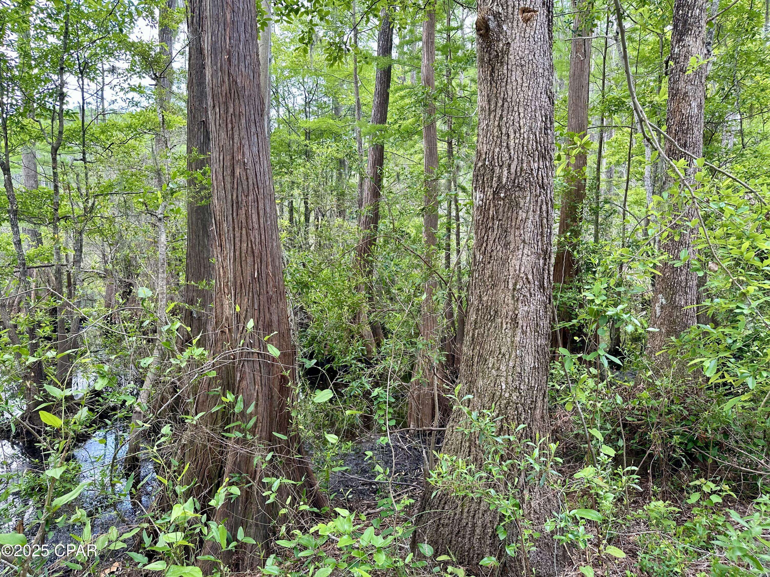 Chipley, FL 32428,4661 Moss Hill RD