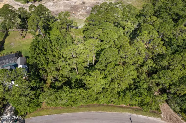 Santa Rosa Beach, FL 32459,Lot 6 Pisces DR