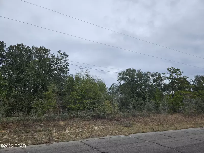 TBD Randolph DR, Chipley, FL 32428