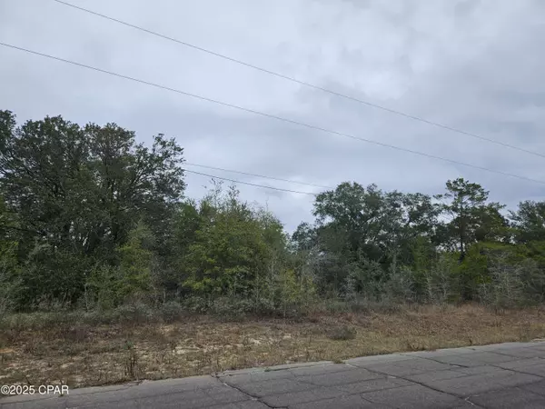 TBD Randolph DR, Chipley, FL 32428