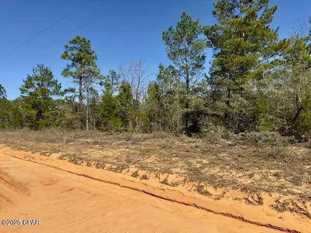 3139 Tumble Creek BLVD, Chipley, FL 32428