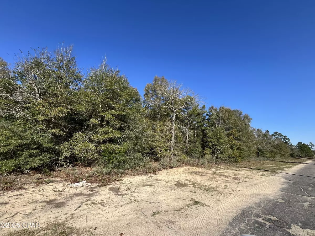 Chipley, FL 32428,Lot 5 Viking DR