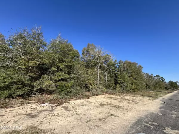 Lot 5 Viking DR, Chipley, FL 32428