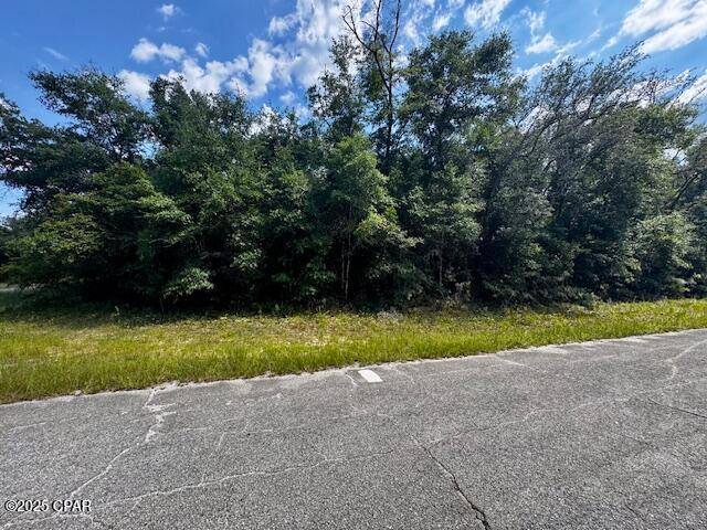 Chipley, FL 32428,Lot 37 Diane PL