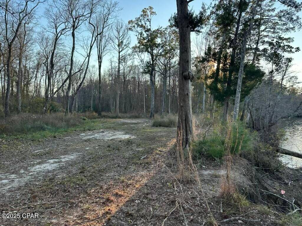 Ebro, FL 32437,0000 Strickland RD