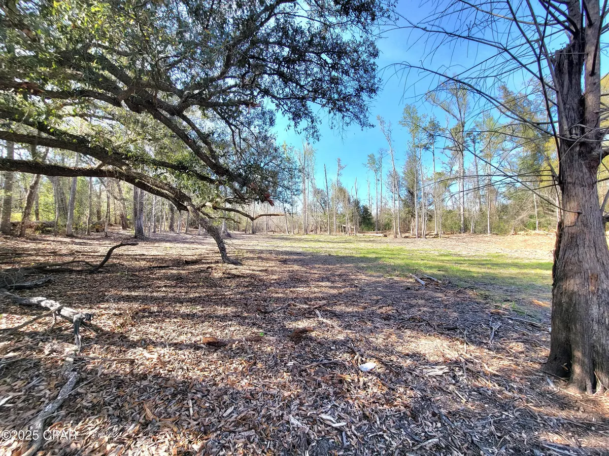 Sneads, FL 32460,00 Highway 90