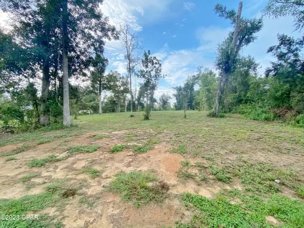 Marianna, FL 32446,00 Magnolia Blossom LN