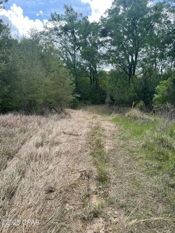 000 Lake Victor Road, Westville, FL 32464