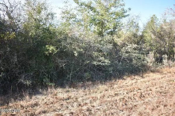 Chipley, FL 32428,000 Laredo DR