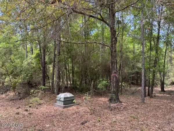 Chipley, FL 32428,0000 Derby DR