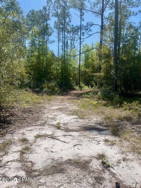 Chipley, FL 32428,TBD Akers TRL