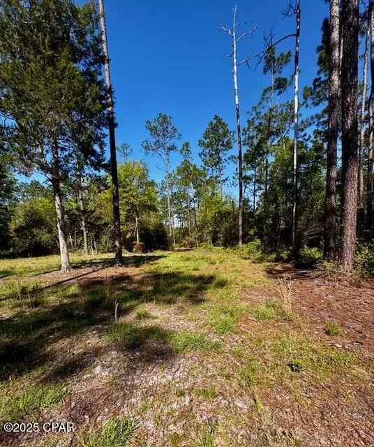 Chipley, FL 32428,TBD Akers TRL