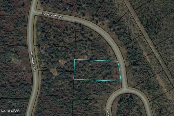 110 Bristle Cone DR, Wewahitchka, FL 32465