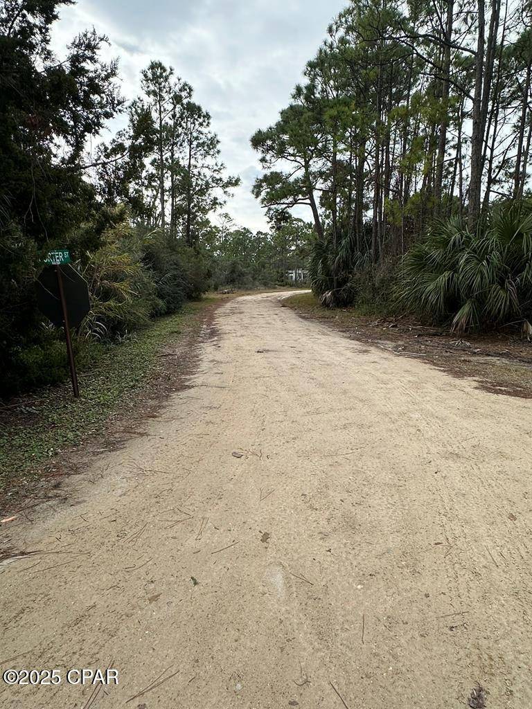 St George Islan, FL 32328,324 Cook ST