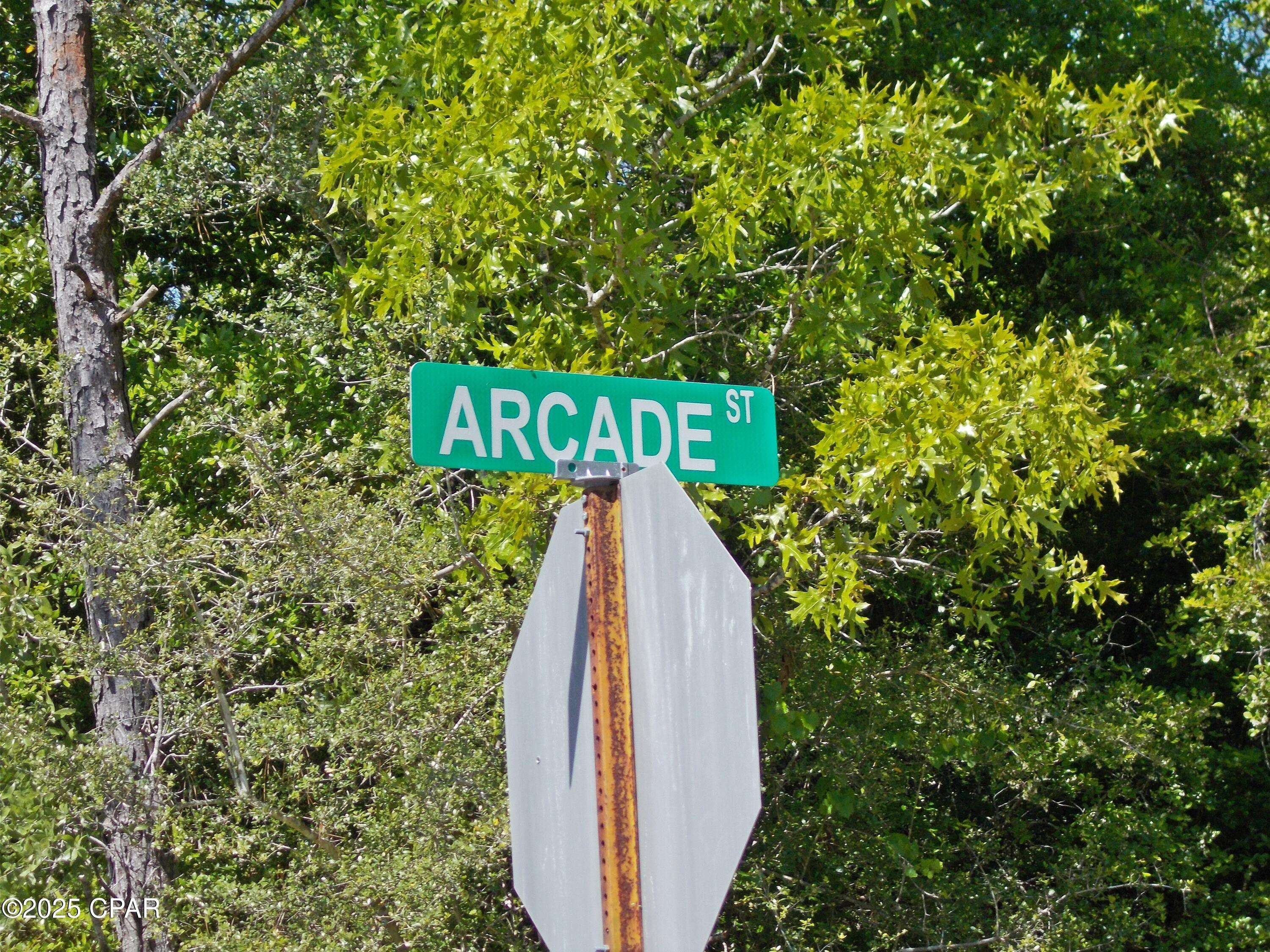 Chipley, FL 32428,Lot 6 Arcade ST