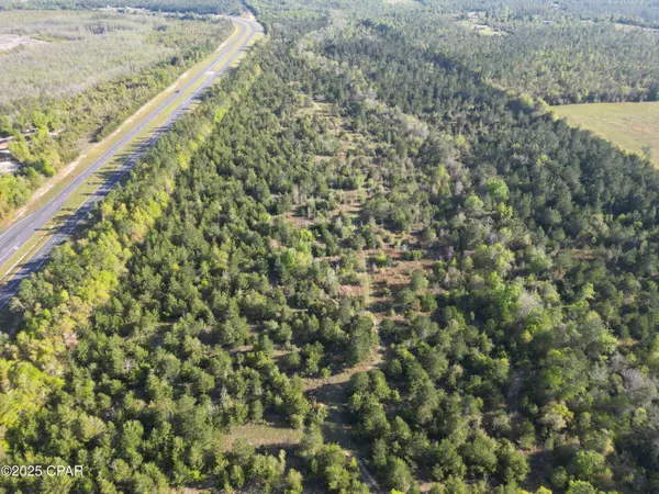 0000 Hwy 231, Alford, FL 32420