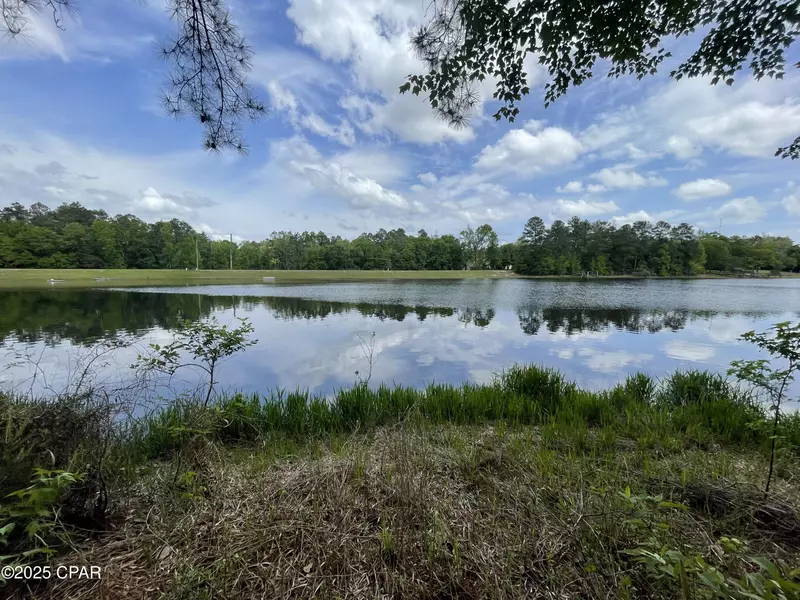 2677 Marian DR, Bonifay, FL 32425