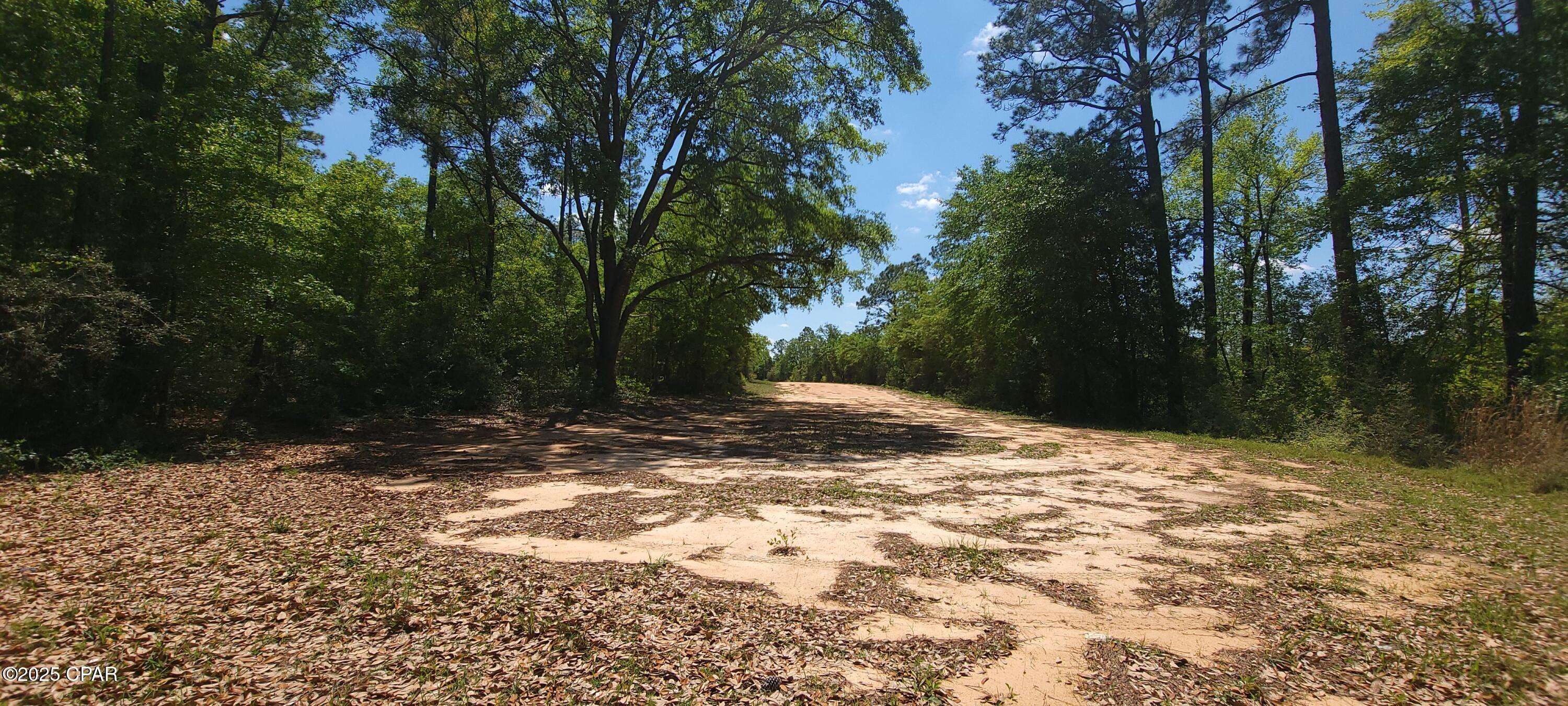 Marianna, FL 32448,Lot 106 N Mayflower Drive