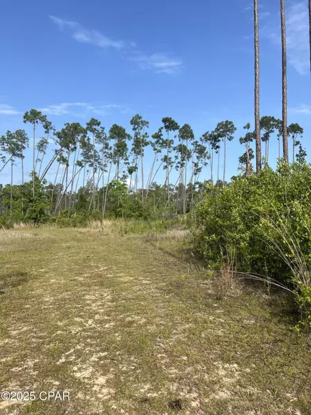 9712 Sweetfield LN, Southport, FL 32409