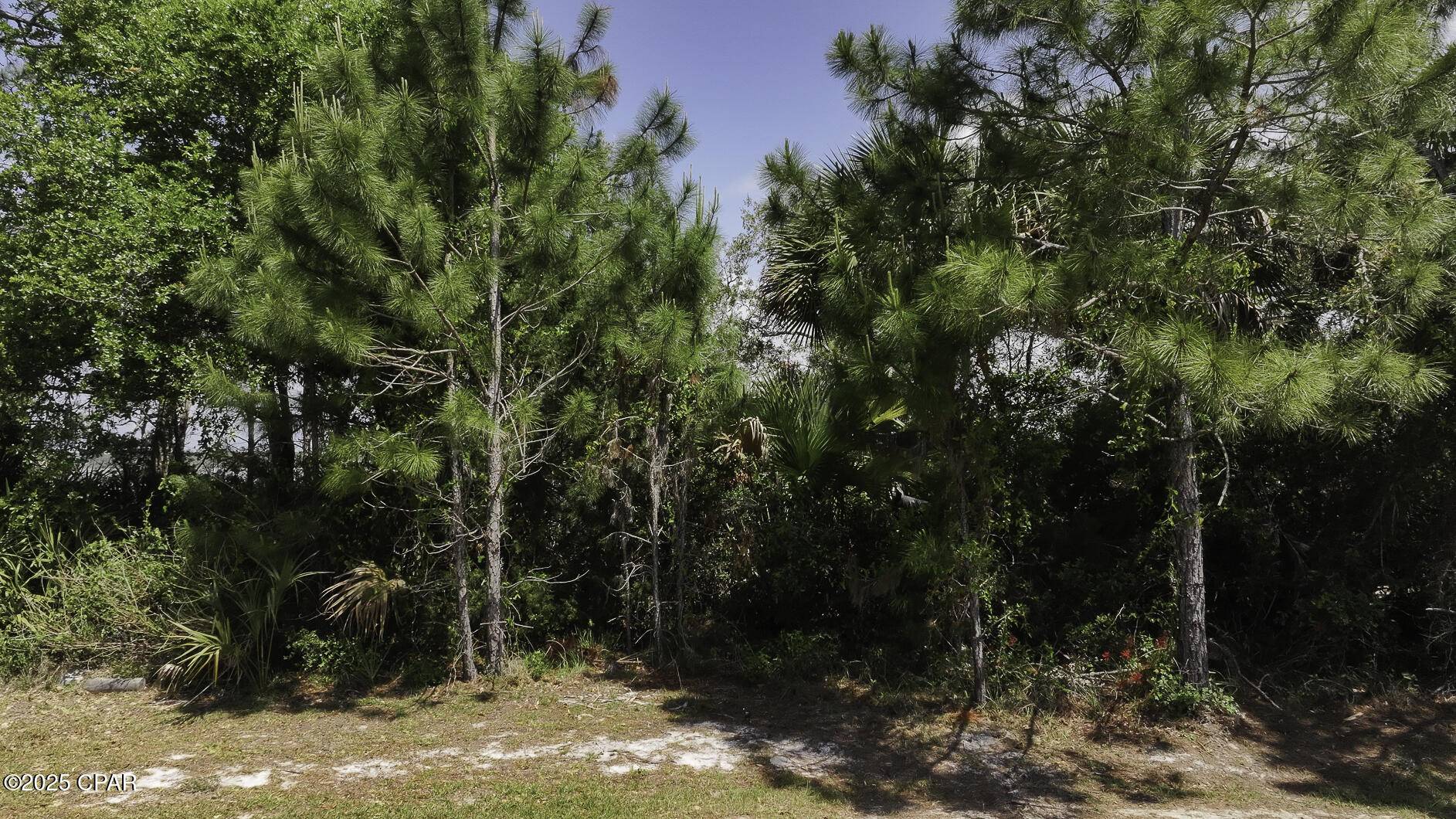Port St Joe, FL 32456,262 Sea Lavender LN #Lot 20