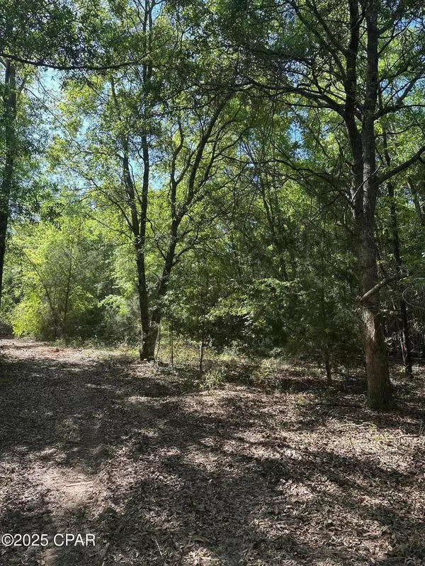 Greenwood, FL 32443,00 Vereen ST