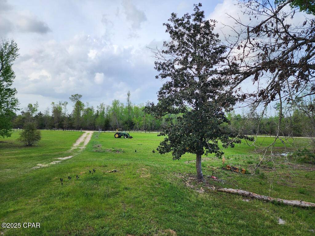 Altha, FL 32421,14235 NW Henry Grantham RD