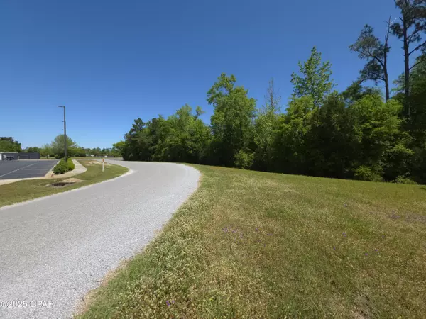 Marianna, FL 32448,Lot 24 Whitetail Dr