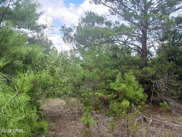 Chipley, FL 32428,Lot 17 Tassel CT
