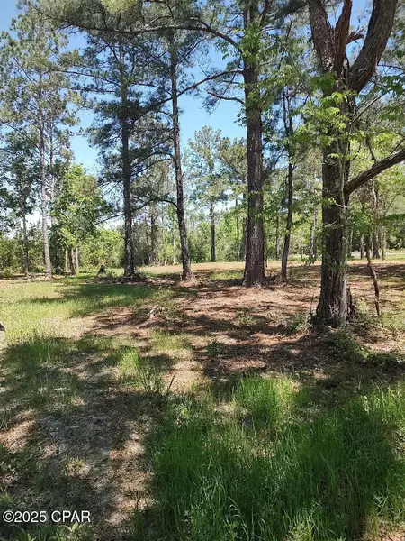 4810 CR 381, Wewahitchka, FL 32465