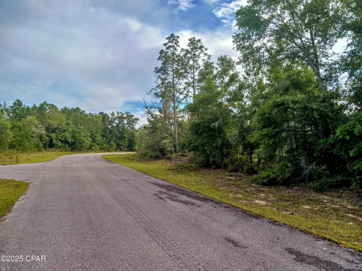 Chipley, FL 32428,Lot 19 Velvet DR