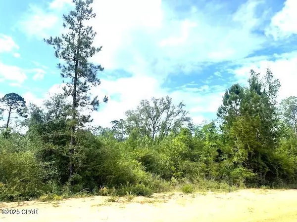 Alford, FL 32420,0 Laurel CIR