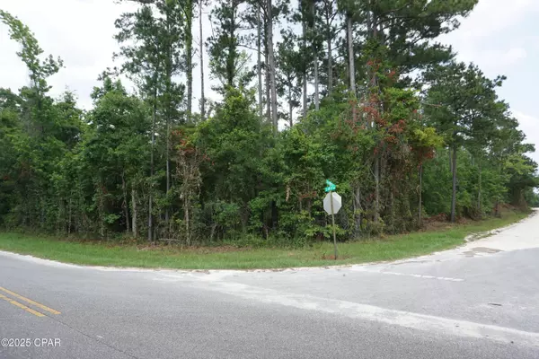 Sneads, FL 32460,xxx Hammond RD