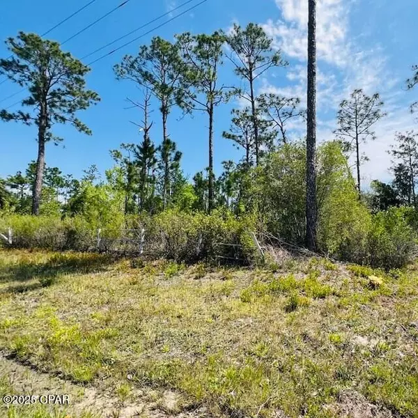 Wewahitchka, FL 32465,8942 County Road 386