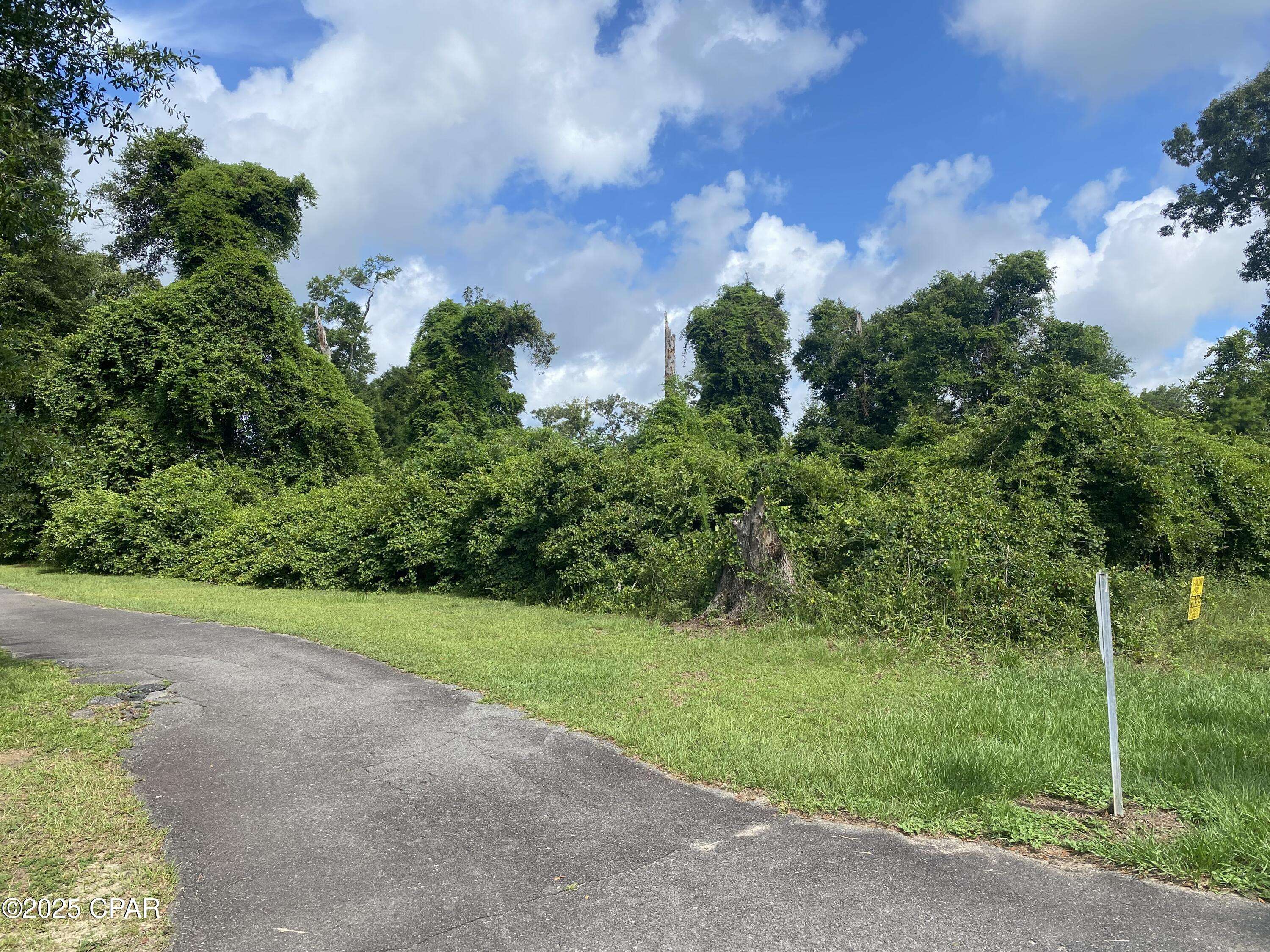 Marianna, FL 32446,0000 Magnolia Blossom LN #2