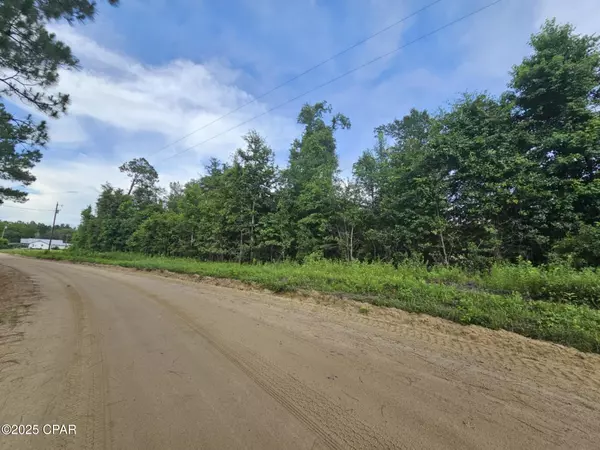 Cottondale, FL 32431,TBD Obert RD