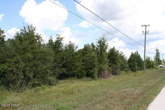 Marianna, FL 32446,TBD US 90 HWY