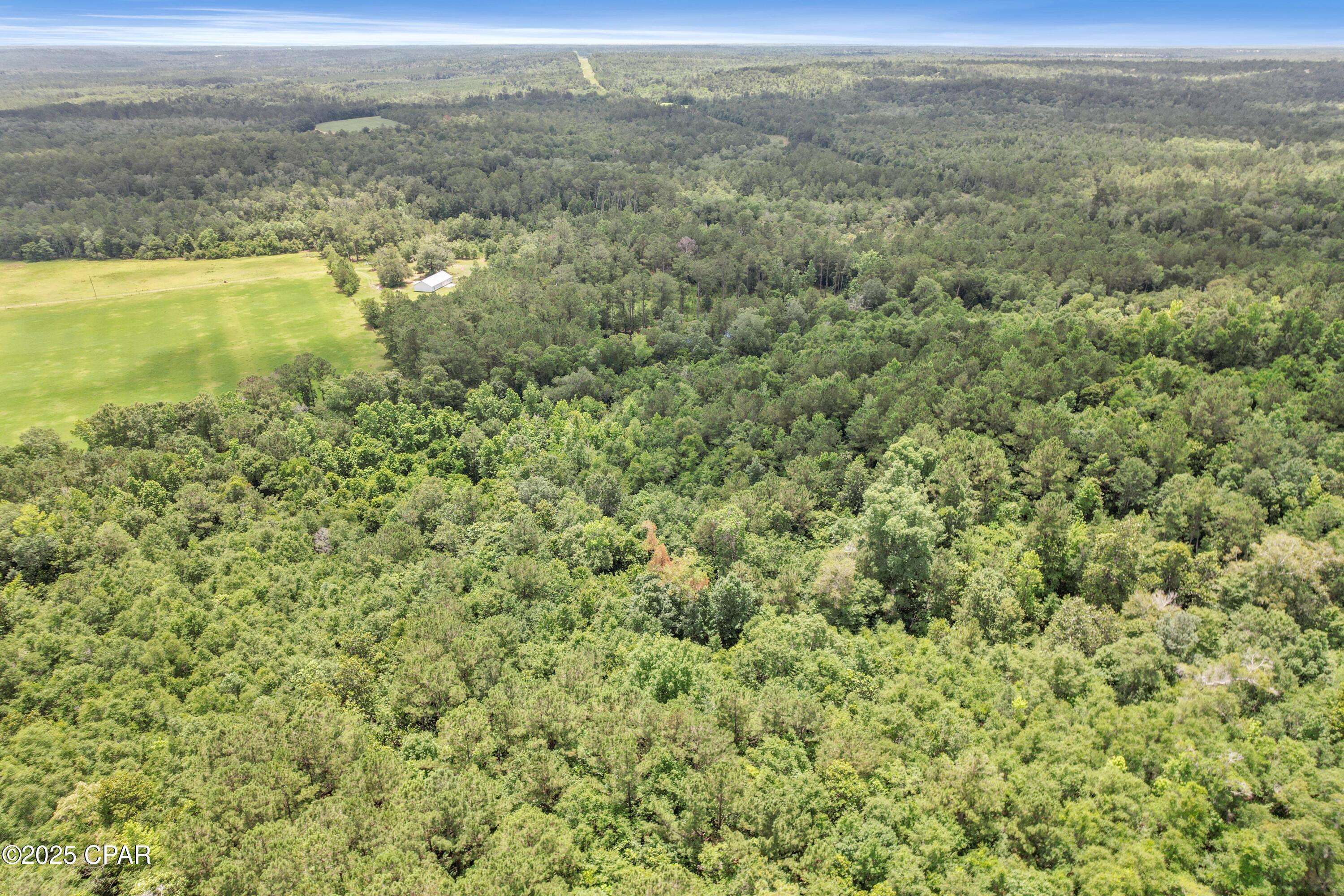Chipley, FL 32428,1653 Ledger RD