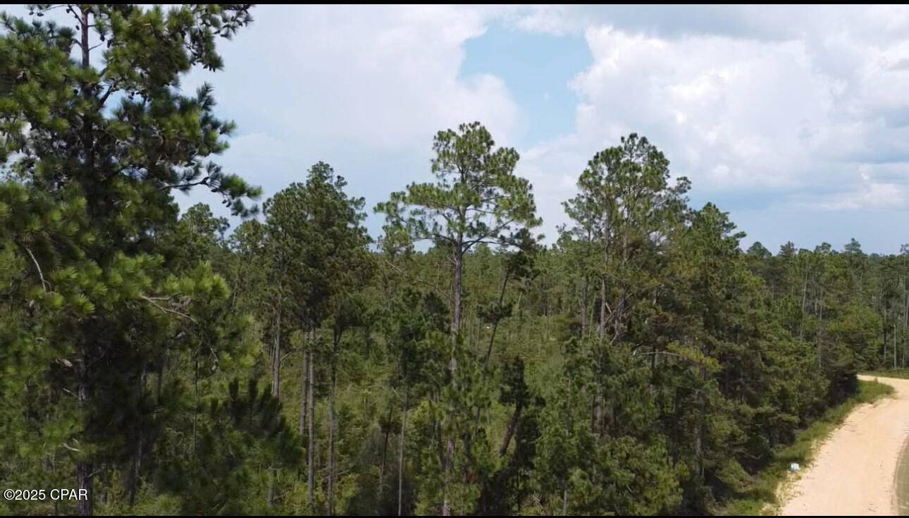 0 Black Hills ST, Alford, FL 32420