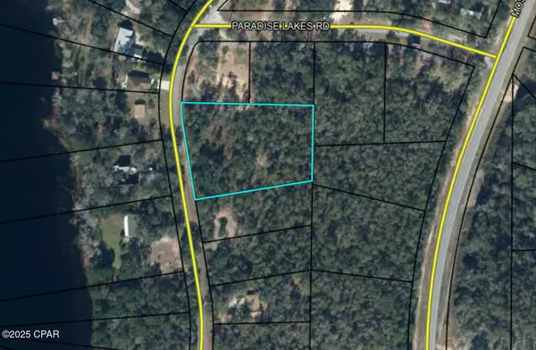 Chipley, FL 32428,TBD Paradise Lakes RD