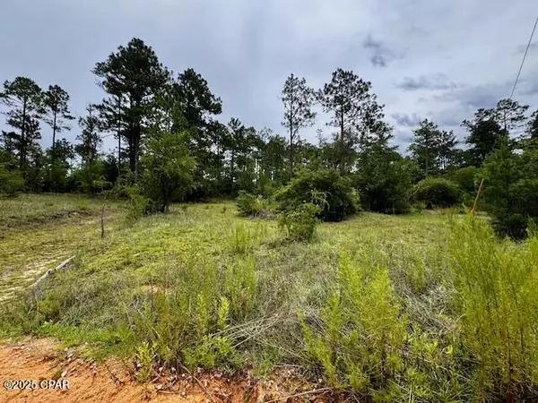 Chipley, FL 32428,TBD Wildrose LN