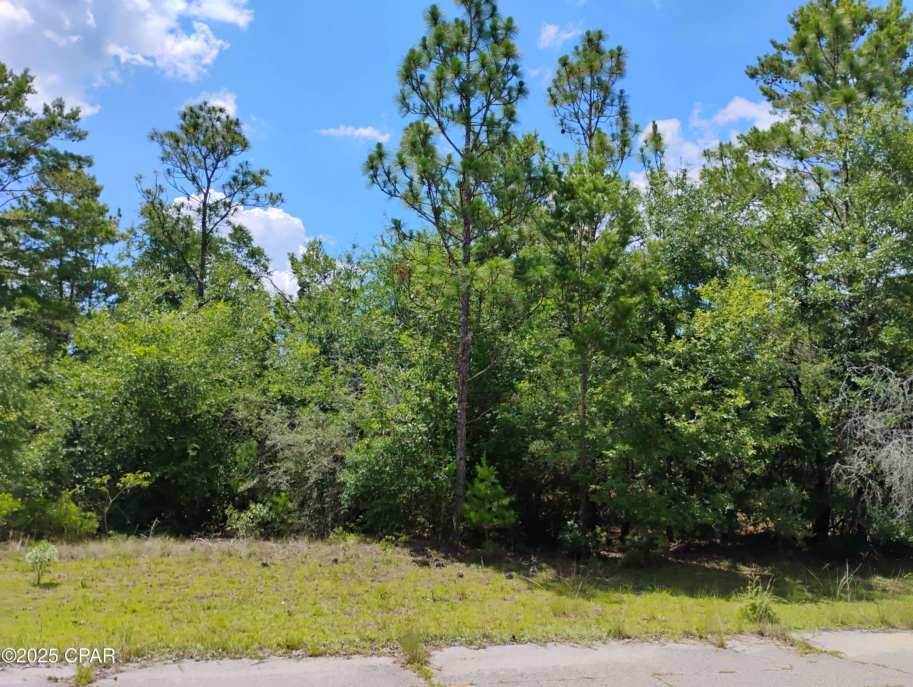 Lot 5 Upland PL, Chipley, FL 32428