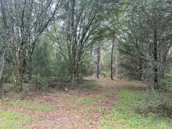 1680 Franks LN, Bonifay, FL 32425