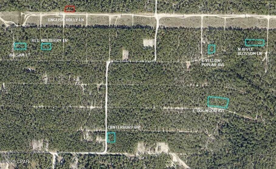 Defuniak Springs, FL 32433,000 Balsam CT