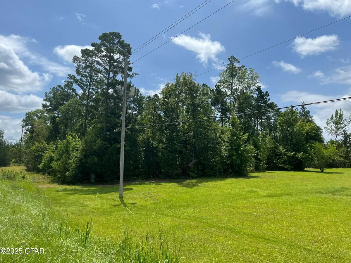 Marianna, FL 32446,0000 Meadowview Road RD