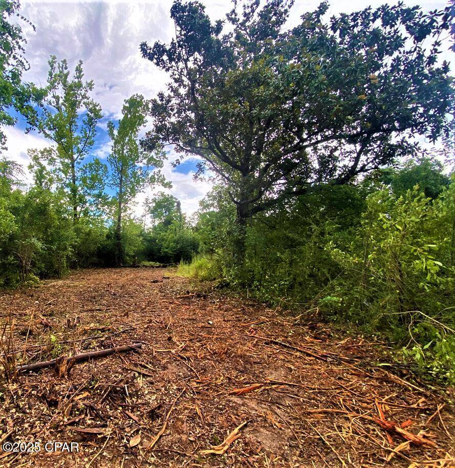 Fountain, FL 32438,0 Dogwood ST